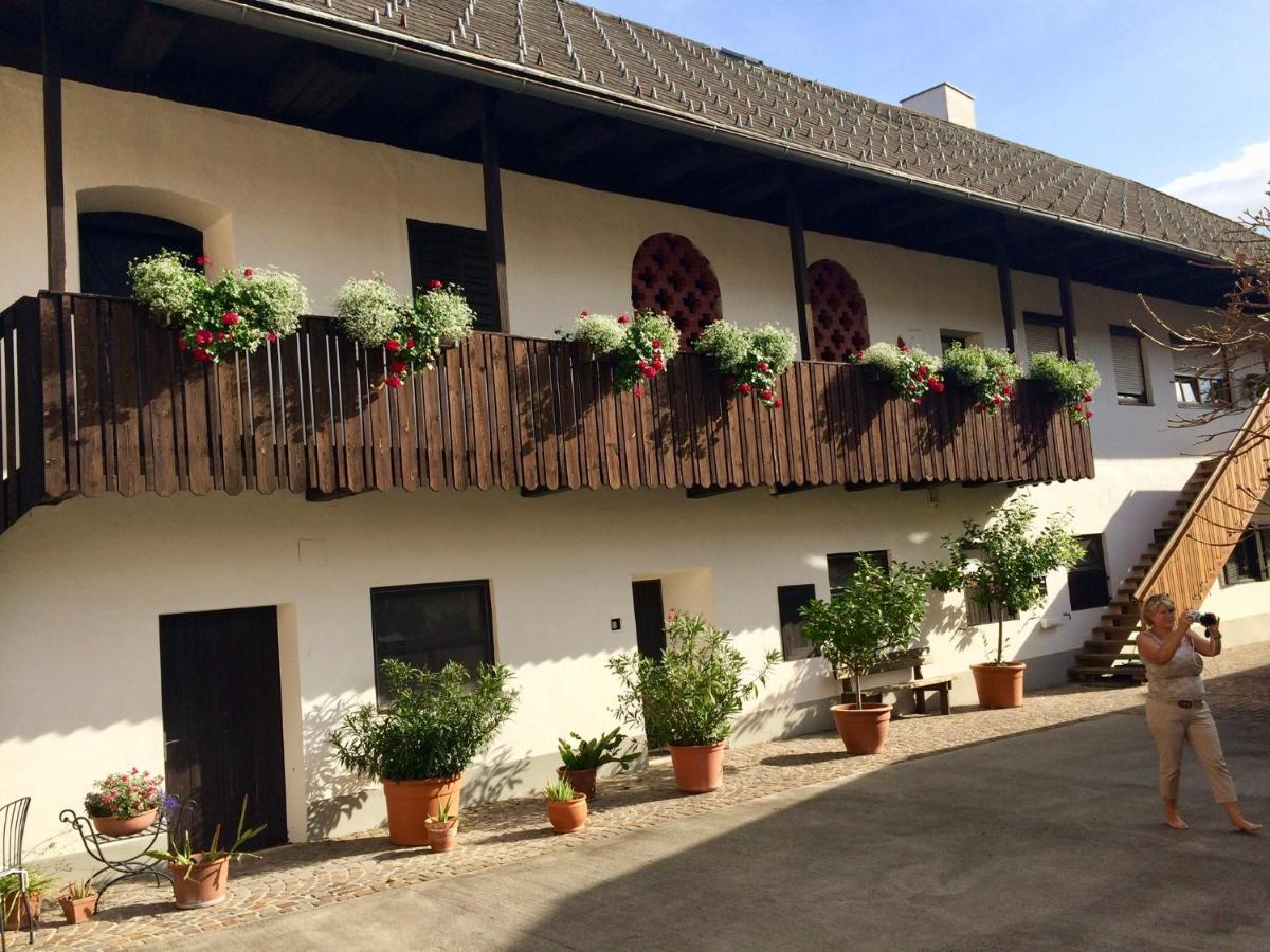 VIII Panorama-Ferienwohnung Petzenblick Sankt Michael ob Bleiburg ภายนอก รูปภาพ